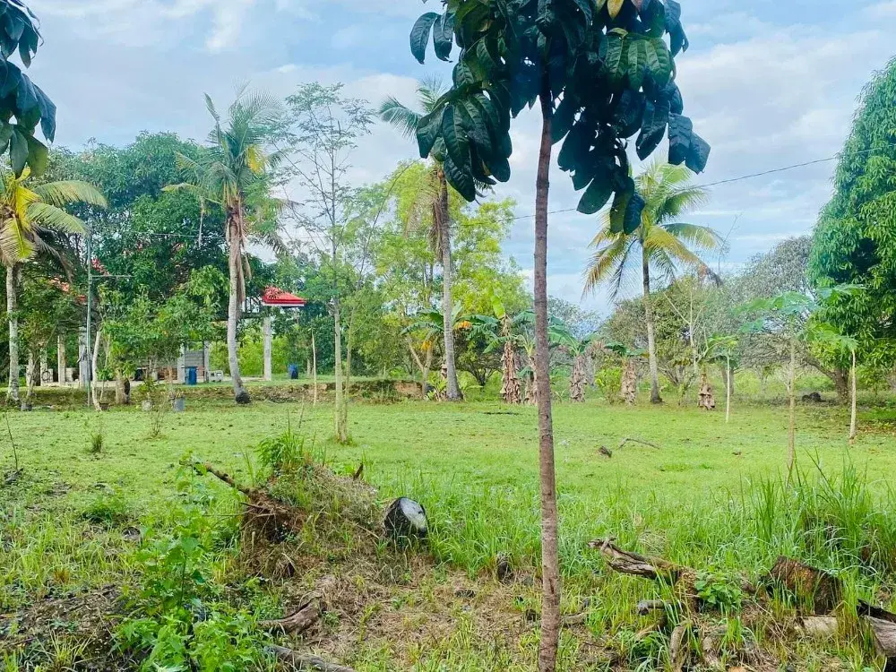 Property Prime View