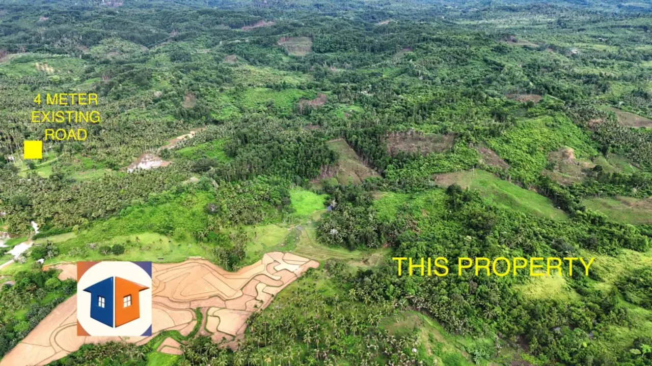 Property Prime View