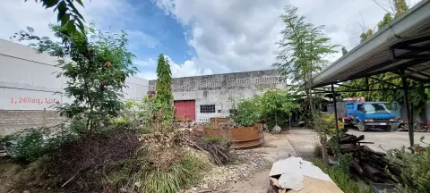 lot-for-rent-in-mandaue-city-along-national-highway-ideal-for-vehicle-showroom-for-rent