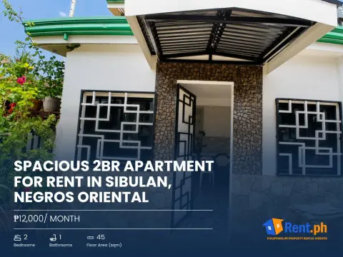 spacious-2br-apartment-for-rent-in-sibulan-negros-oriental-for-rent