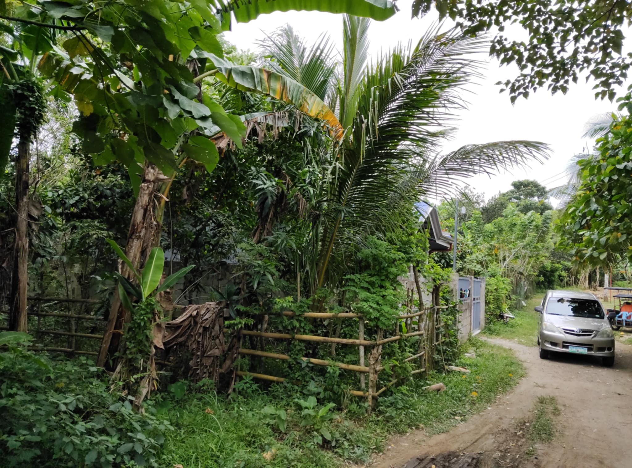 Lot For Lease in Lot Silang Cavite https://rent.ph/uploads/0021/21217/2025/09/27/messenger-creation-5da2943d-1740-49f2-8390-f521be0a4dc3.jpeg