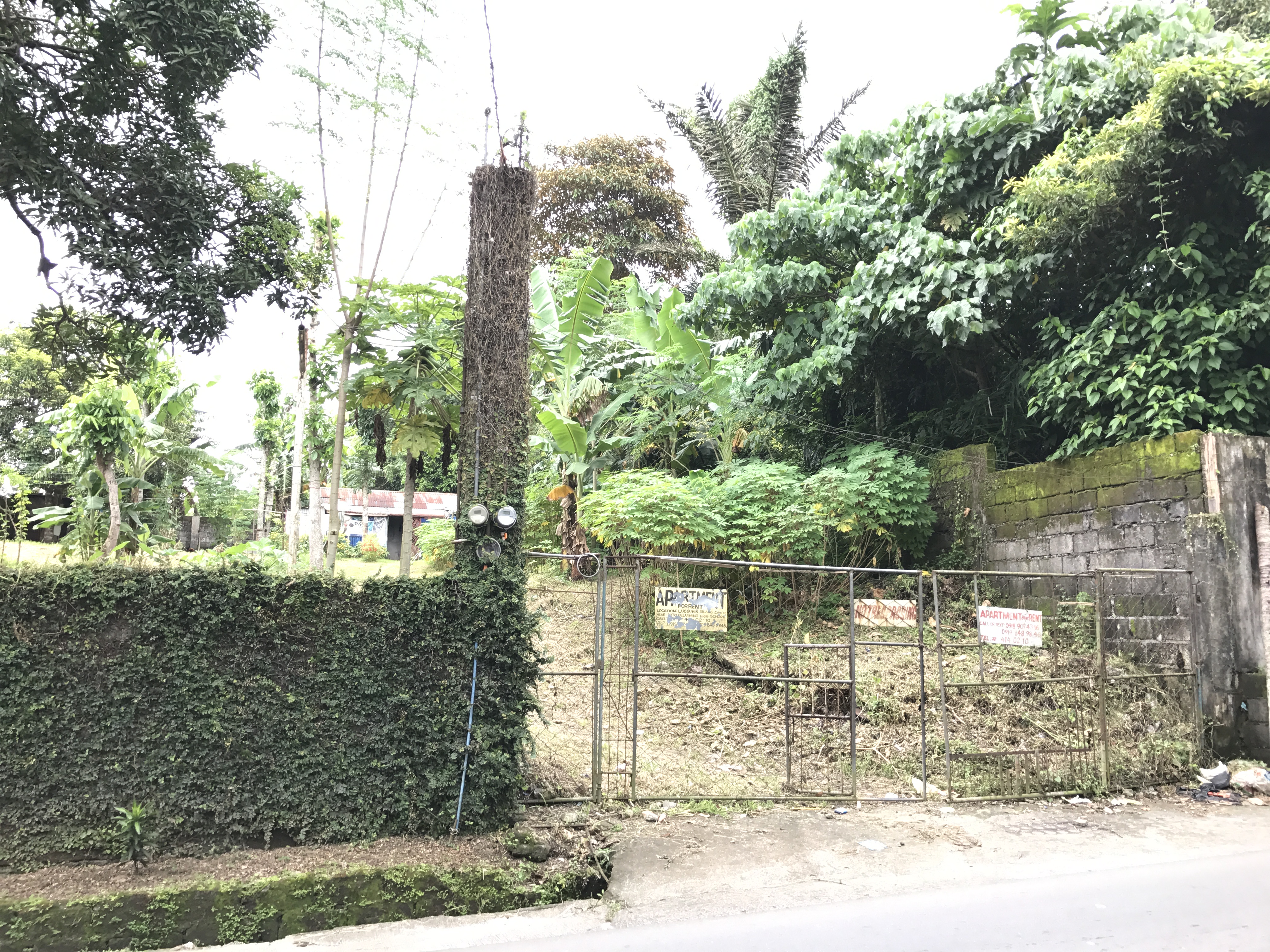 LOT FOR LEASE PRIME LOCATION https://rent.ph/uploads/0021/21217/2025/09/30/img-0145.JPG