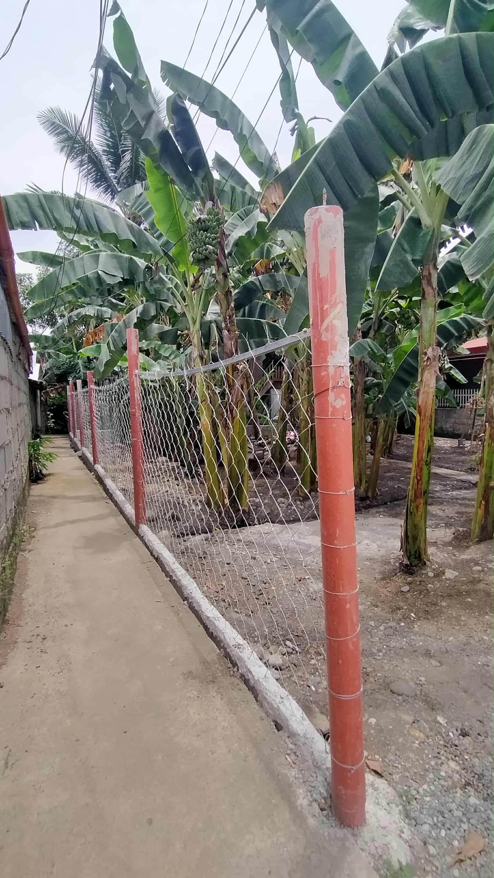 Lot for rent https://rent.ph/uploads/0022/22233/2025/12/10/10000003161.jpg